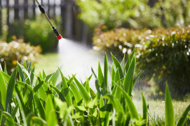 24/7 Emergency Fumigation Services experts in McGregor, TX
